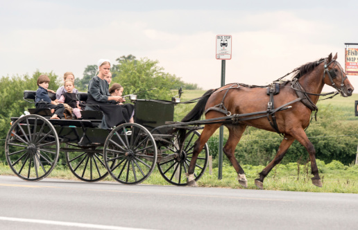 Ronks, Pennsylvania, July 3, 2022 - View of An Amish Horse and Carriage Traveling Down a Rural Country Road After Crossing a Rail Road Crossing on a Sunny Spring Day