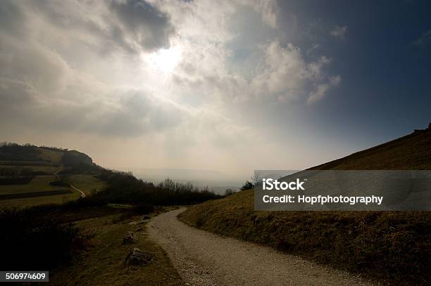 Strada Rurale - Fotografie stock e altre immagini di Albero - Albero, Ambientazione esterna, Cielo