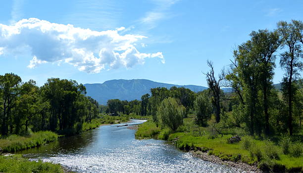 Yampa River in Steamboat Springs The Yampa River flows through Steamboat Springs, Colo. steamboat springs stock pictures, royalty-free photos & images