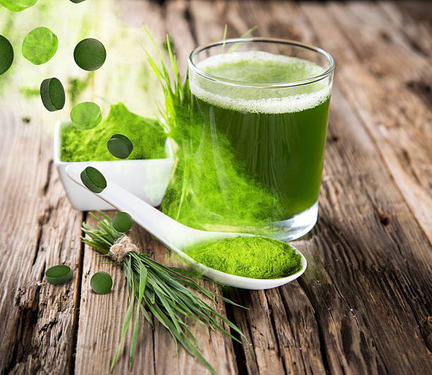 junge gerste, chlorella superfood. - barley grass juice green stock-fotos und bilder