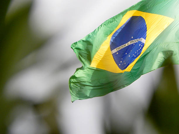 Flag of Brazil in the wind
