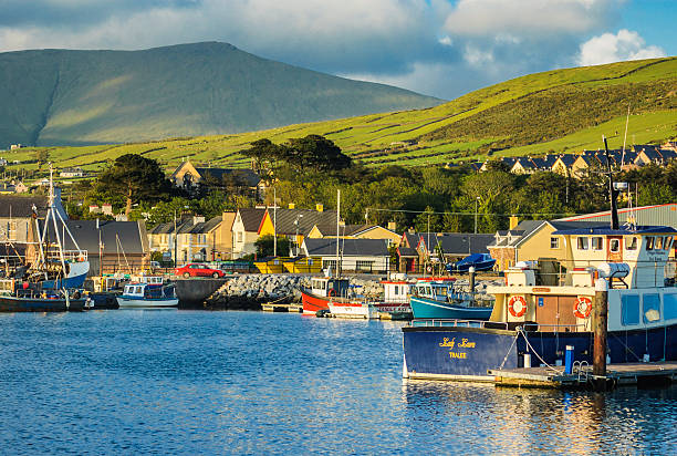 Fishing Boats in Dingle Bay Dingle, Ireland- May 29, 2006: Fishing boats docked to the piers of Dingle Harbor with green hills and mountains as a backdrop. dingle bay stock pictures, royalty-free photos & images