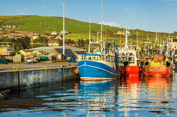 Fishing Boats in Dingle Harbor Blue and red commercial fishing boats are docked in the harbor in Dingle, Ireland. dingle peninsula stock pictures, royalty-free photos & images