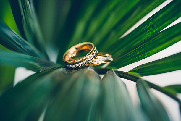 istock Wedding Rings in palm leaves 506991818