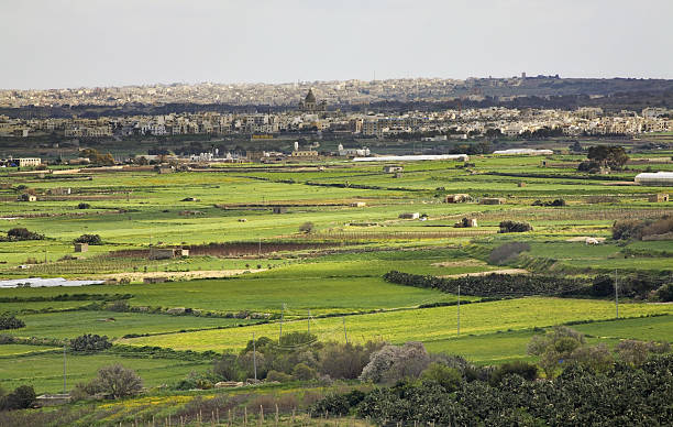 istock Landscape near Rabat. Malta 506993394