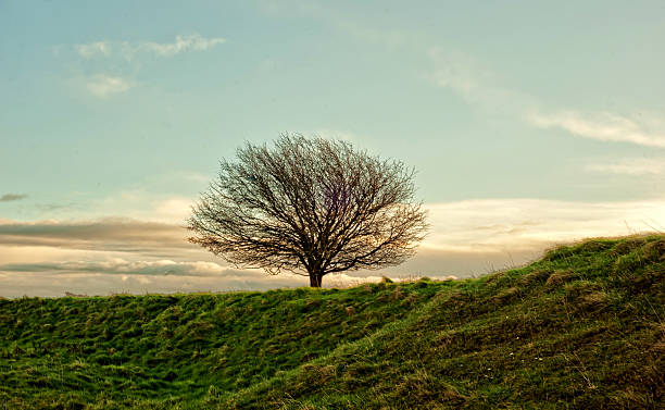 istock Sunrise - Landscape -  View from White Horse 506993732