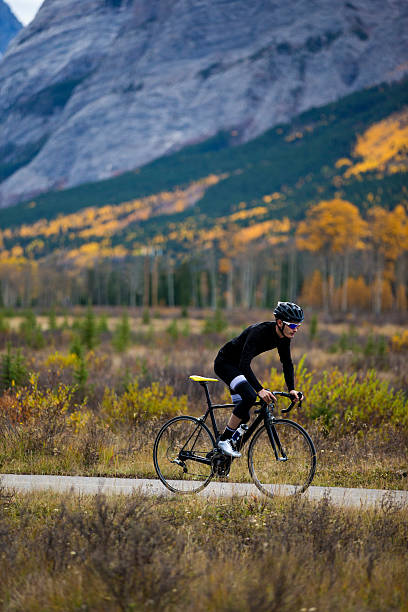 paseo otoño carretera - usa action adventure aspen tree fotografías e imágenes de stock