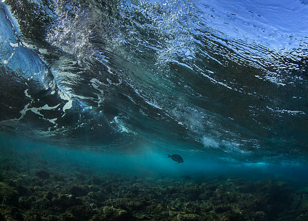 Mare e onde, vista subacquea - foto stock