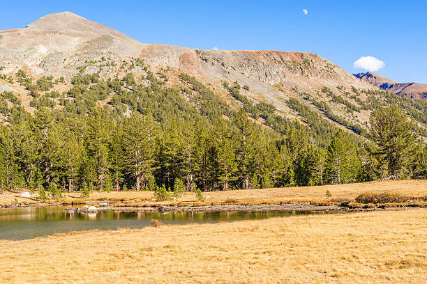 istock Yosemite National Park in California 506999450