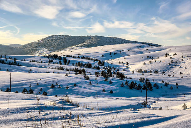 istock Ski slope landscape on Kopaonik, Serbia 507000666