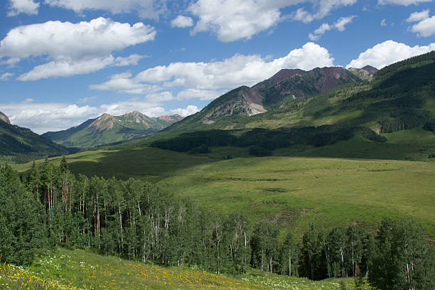 istock Crested Butte Colorado in the Summertime 507001220