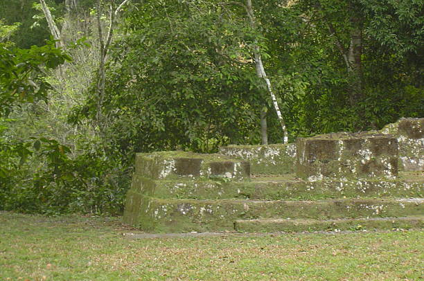 istock Green space of Tikal 507005462
