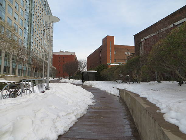 istock Scheaffer's Residential Complex, Grounds & Gardens snowed in 507005660