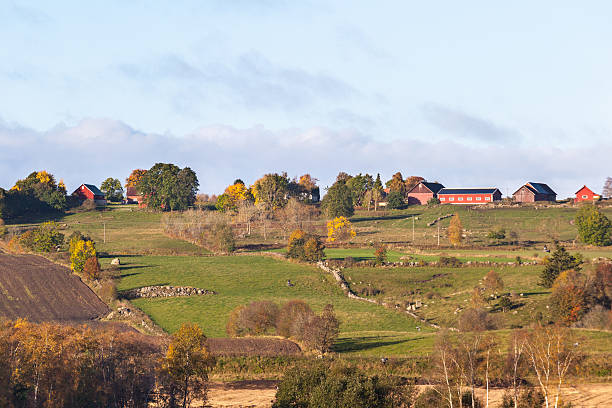 istock Rural autumn landscape 507006425