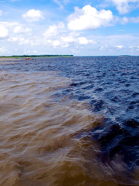 istock Rivers meeting in Manaus 507006937