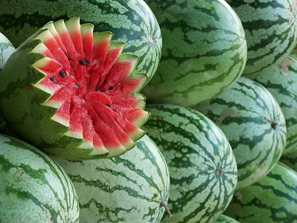 watermelon stock photo