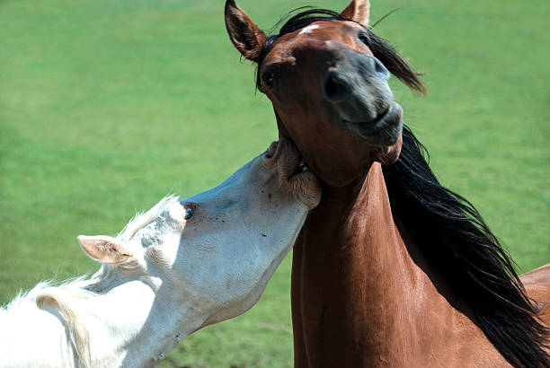 istock Go on, 