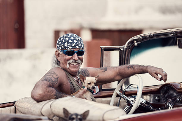 funky hombre y perros en cuba - collectors car mature men transportation lifestyles fotografías e imágenes de stock