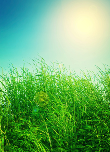 A landscape photo of a green field and blue sky - ALL design on this image is created from scratch by Yuri Arcurs'  team of professionals for this particular photo shoot