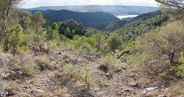 istock The Alcarria mountains 507010009