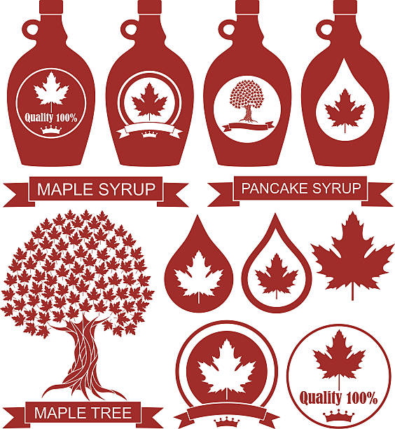 ilustrações, clipart, desenhos animados e ícones de xarope de bordo - maple leaf maple tree maple leaf