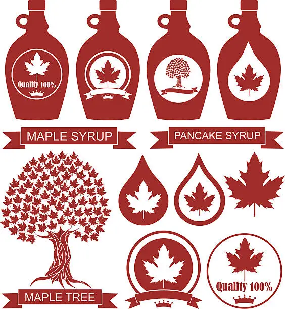 Vector illustration of Maple Syrup