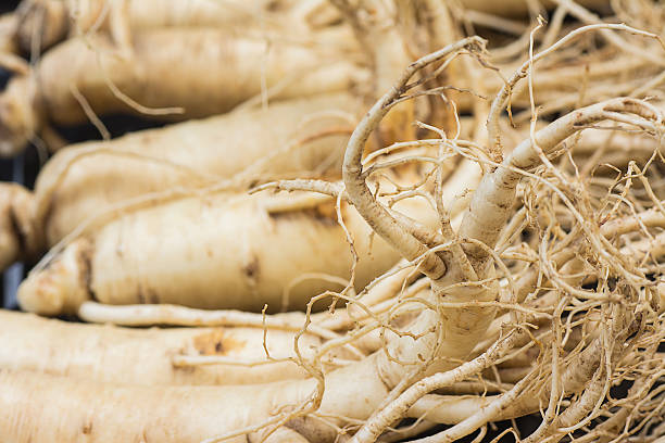 istock Macro of Dry Ginseng Roots. 507019982