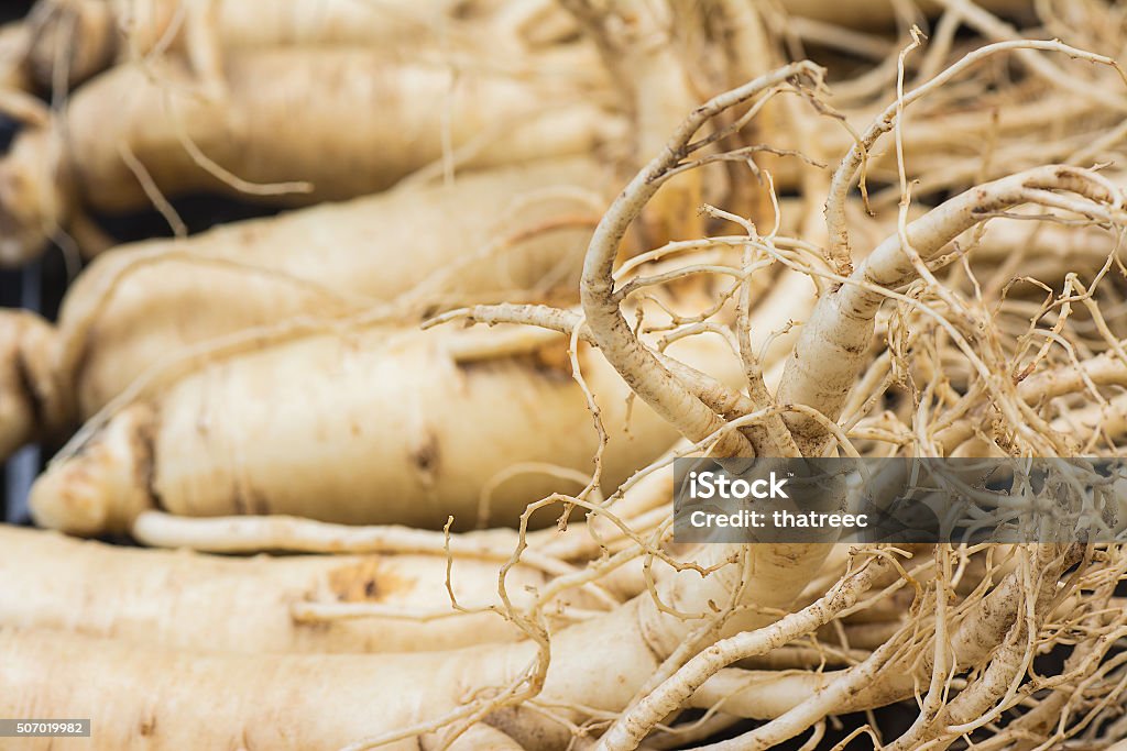 Macro of Dry Ginseng Roots. Macro of Dry Ginseng Roots,selective focus with blur background. Agriculture Stock Photo