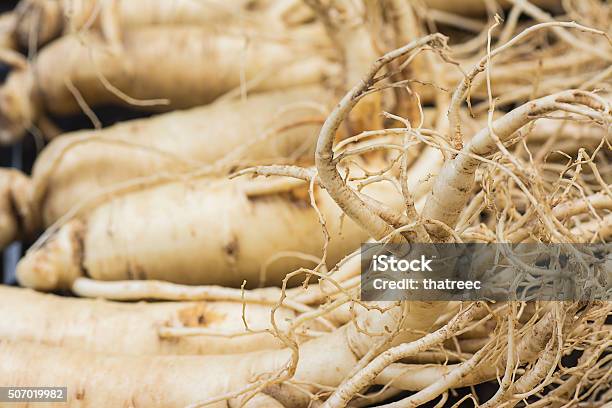 Macro Of Dry Ginseng Roots Stock Photo - Download Image Now - Agriculture, Brown, Bundle