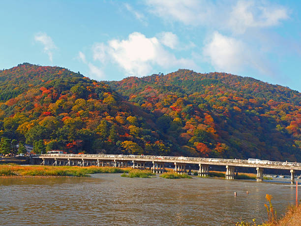 istock Arashiyama in Kyoto 507020572