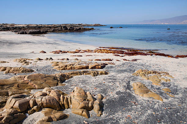 istock Nature of Oman 507021064