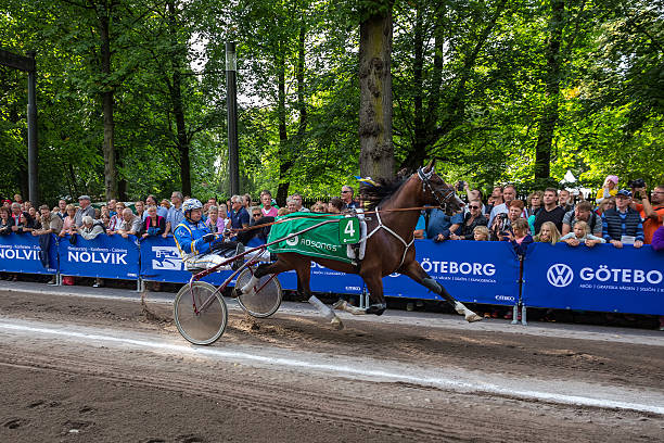 Gothenburg, Sweden - August 14, 2014: Public harness racing on a temporary racetrack on streets in the middle of Gothenburg city in August 2014, a public event as part of the Gothenburg Culture festival. 