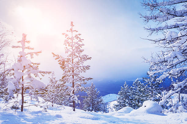 istock Beautiful winter landscape 507027004