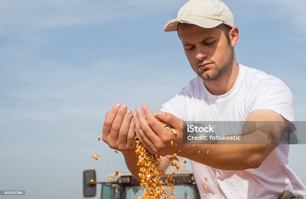 Agricultor com milho - Foto de stock de 20 Anos royalty-free
