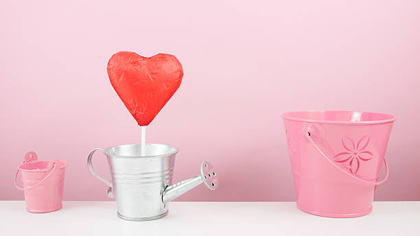 istock Red foiled chocolate heart stick with small silver watering can 507030702