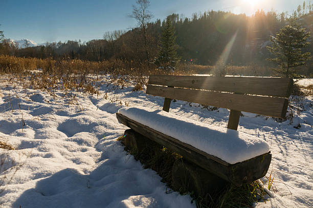 istock A snowy bank 507032275