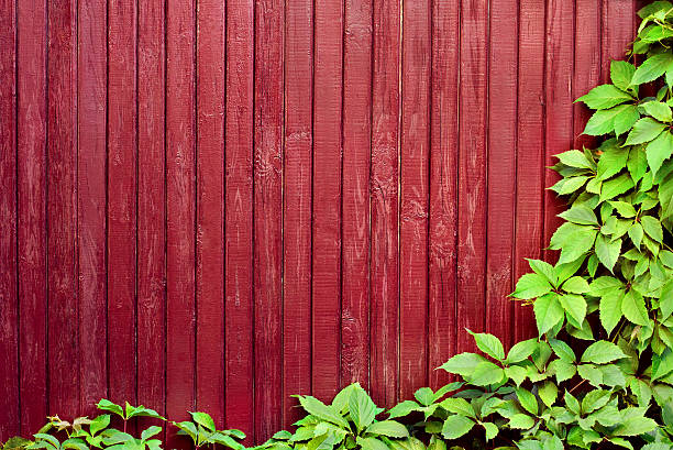 istock wooden fence with leaves 507032849