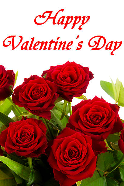 istock Happy Valentines Day, red roses on a white background 507037252