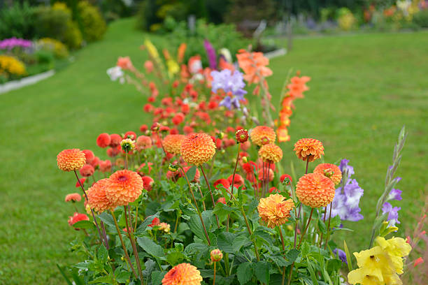 istock Professional Landscaping, European Garden 507060381
