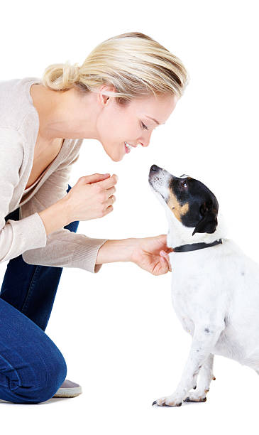 istock You are so cute! 507060473