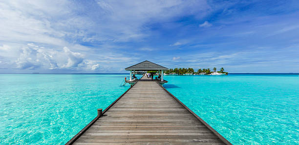 boardwalk 파라다이스 - hut maldives beach hut jetty 뉴스 사진 이미지