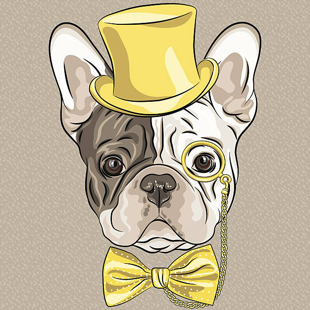 vector funny cartoon hipster French Bulldog dog hipster dog French Bulldog breed in a gold hat, glasses and bow tie hipster dog stock illustrations