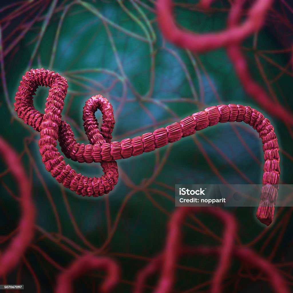 Ebola virus. Ebola virus 3d rendering Ebola Stock Photo