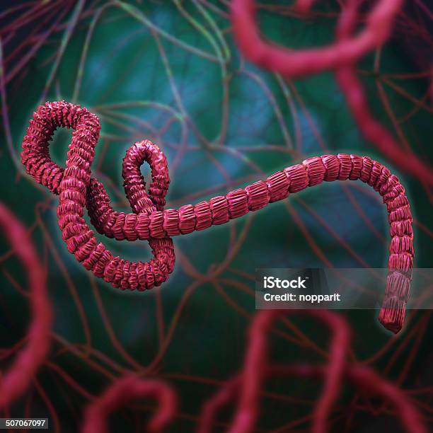 Ebola Virus Stock Photo - Download Image Now - Ebola, Abstract, Antibody