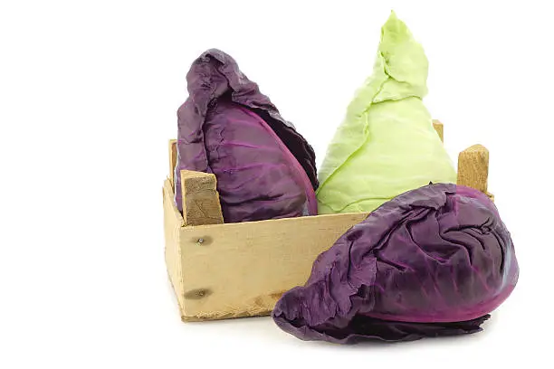 red and green pointed cabbage in a wooden crate on a white background