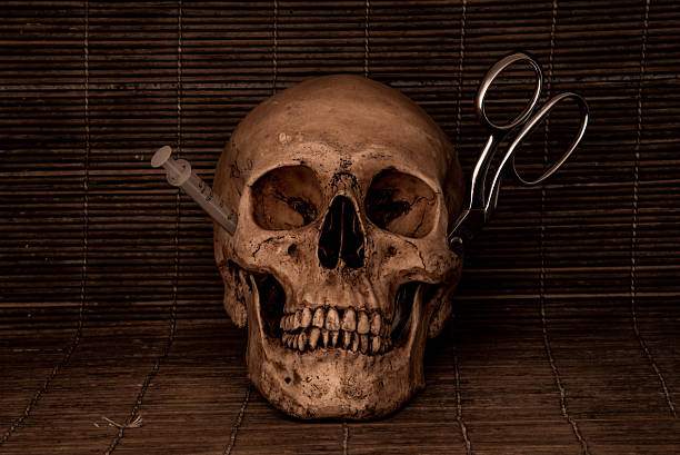 istock Medical concept skull vintage tone 507071430