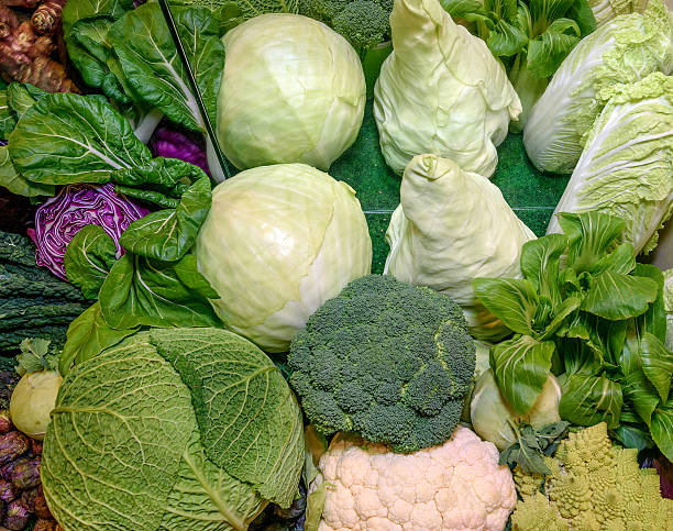 Fresh vegetables. Savoy, chinese,red cabbage, broccoli, cauliflower, romanesco broccoli Fresh raw ruciferous vegetables. Savoy cabbage, red cabbage, broccoli, cauliflower, chinese cabbage, kohlrabi, romanesco broccoli. Concept of healthy eating, abstinence from meat, vegetarianism, raw food, diet. Close-up cruciferous vegetables stock pictures, royalty-free photos & images