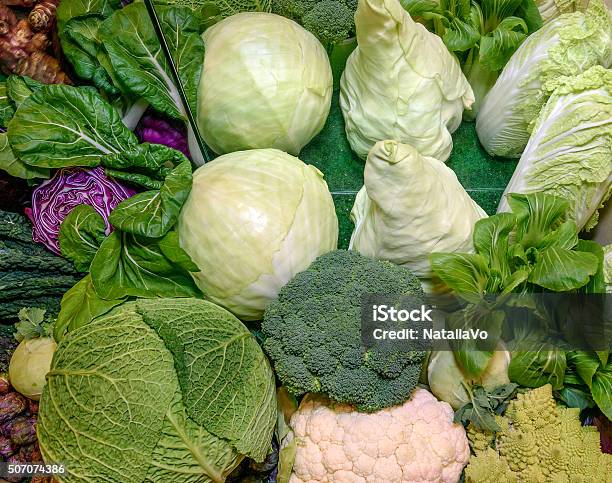 Fresh Vegetables Savoy Chinese Red Cabbage Broccoli Cauliflower Romanesco Broccoli Stock Photo - Download Image Now