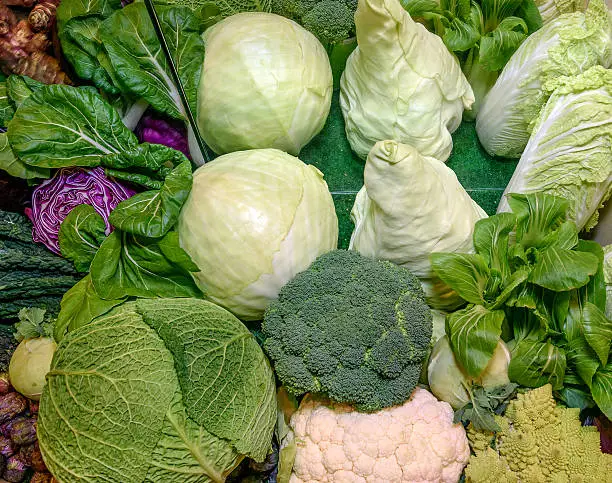 Fresh raw ruciferous vegetables. Savoy cabbage, red cabbage, broccoli, cauliflower, chinese cabbage, kohlrabi, romanesco broccoli. Concept of healthy eating, abstinence from meat, vegetarianism, raw food, diet. Close-up