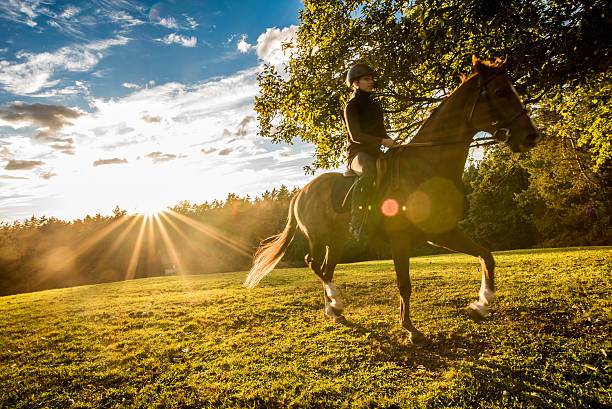 istock Woman riding horse 507075474